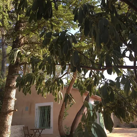 Mas Provencal Piscine 16 Personnes Proche Centre De