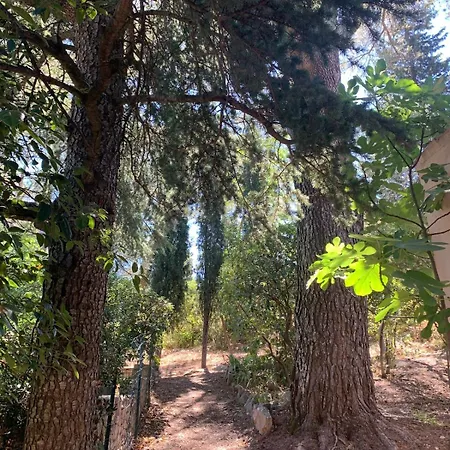 Mas Provencal Piscine 16 Personnes Proche Centre De Villa *